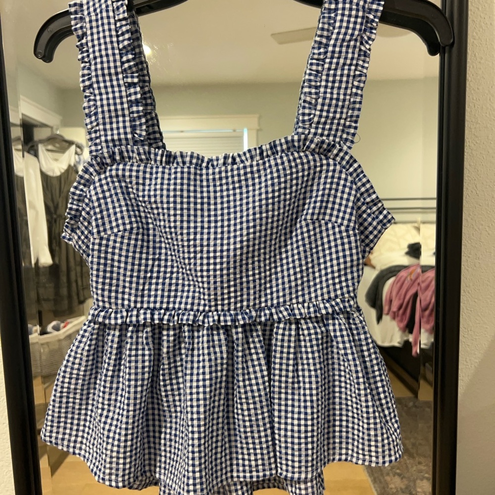 Brandy Melville Blue and White Gingham Crop Top